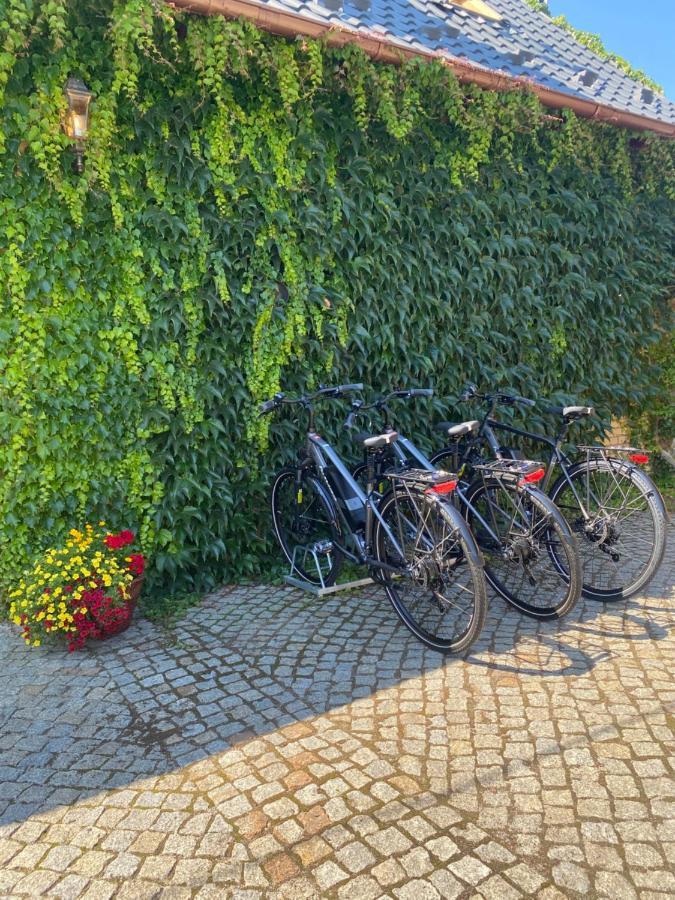 Aparthotel Kamien I Sowa Lipinki Łużyckie Exterior foto